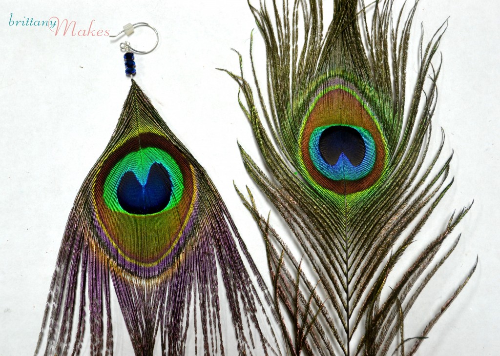 peacock 1