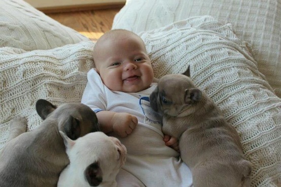 frenchie and baby 2