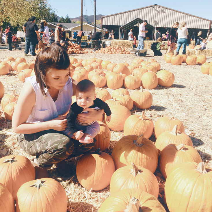 Zano's first pumpkin patch