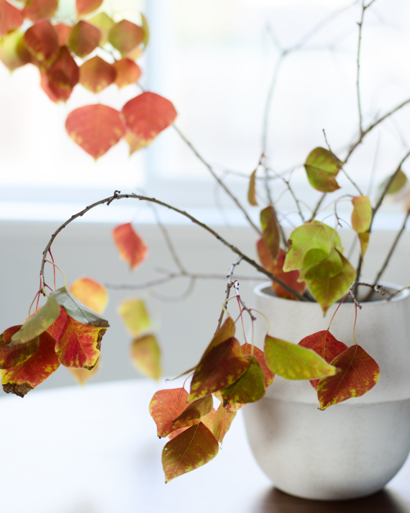 Thanksgiving tablescape | brittanyMakes