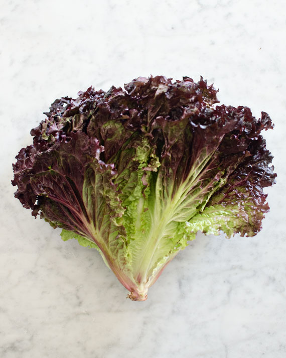 Burgundy Lettuce | brittanyMakes