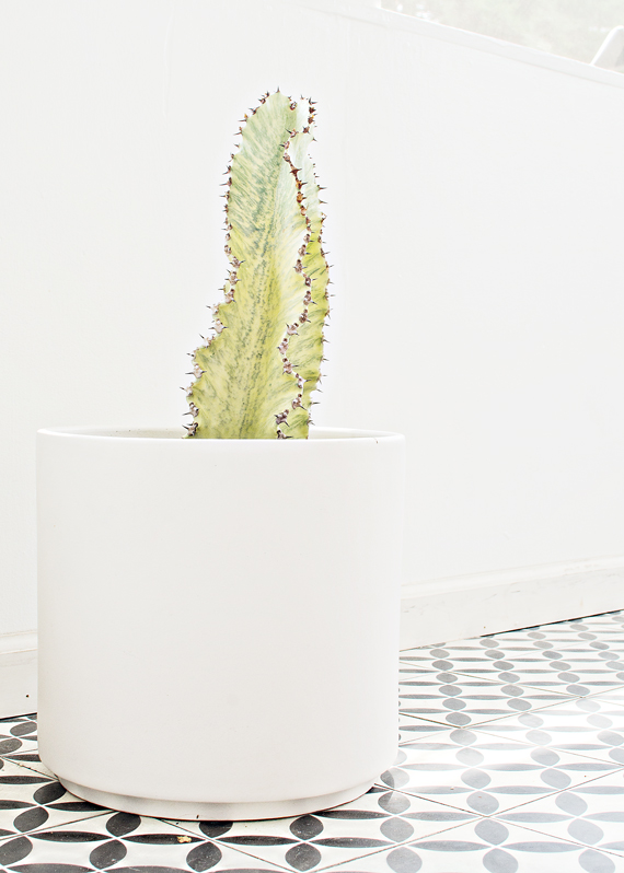 a bright & airy sun room black & white cement tile // brittanyMakes