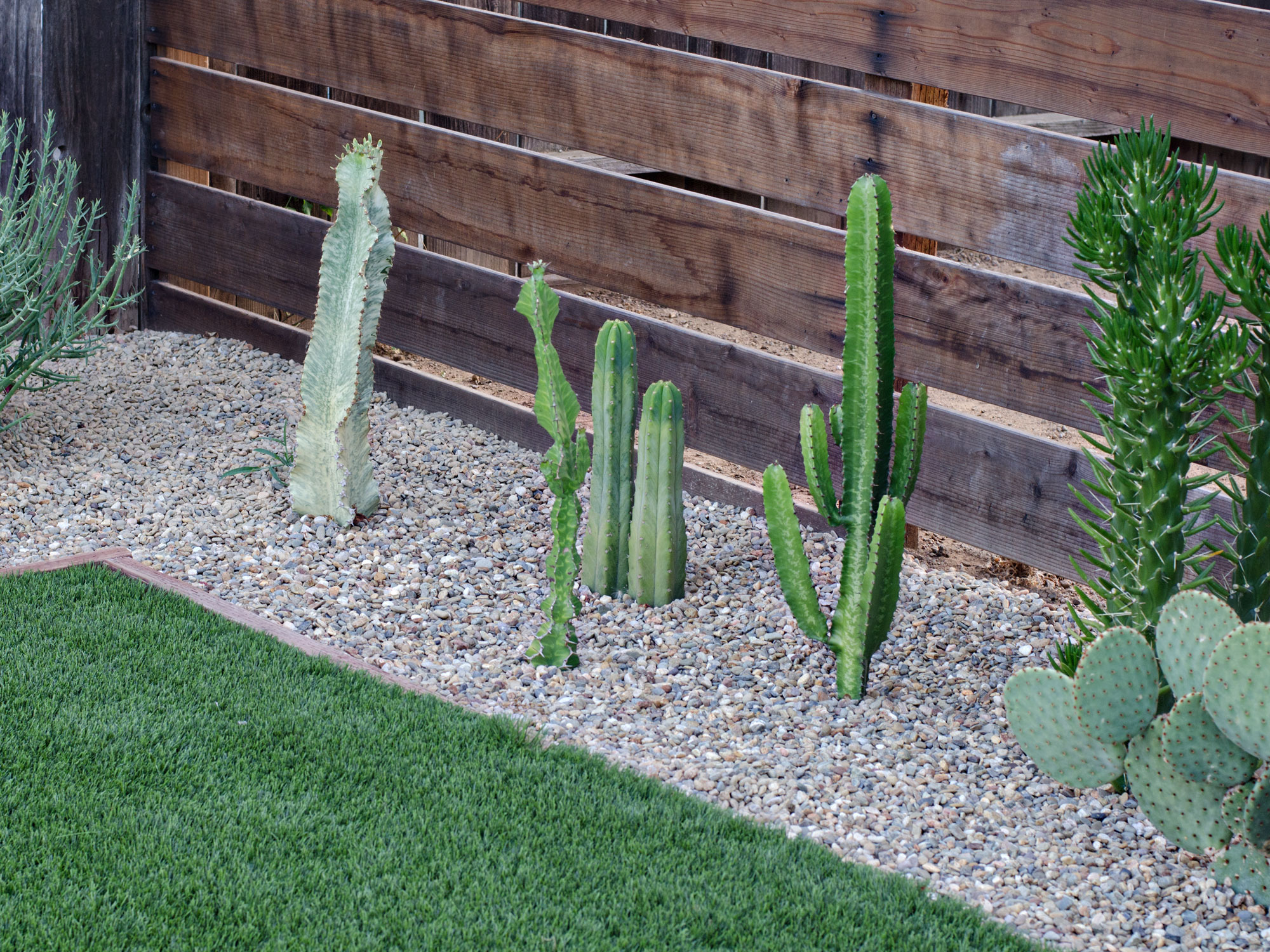 Modern California Backyard Patio Reveal | brittanyMakes